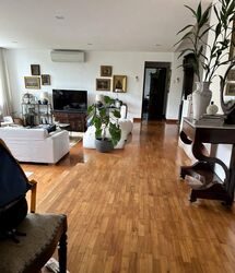 Nassim Regency (D10), Condominium #466422221